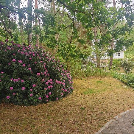 Fahrradpension Am Weg Nach Kopenhagen Fürstenberg-Havel Kültér fotó